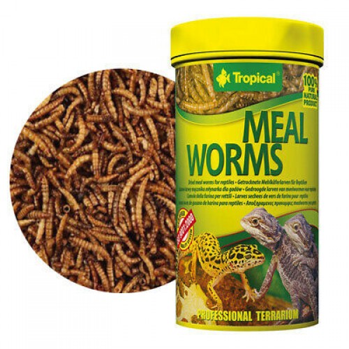 Tropical Meal Worms Kurutulmuş Un Kurdu 250 ML 30GR Tropical Meal Worms Kurutulmuş Un Kurdu 250 ML 30GR
